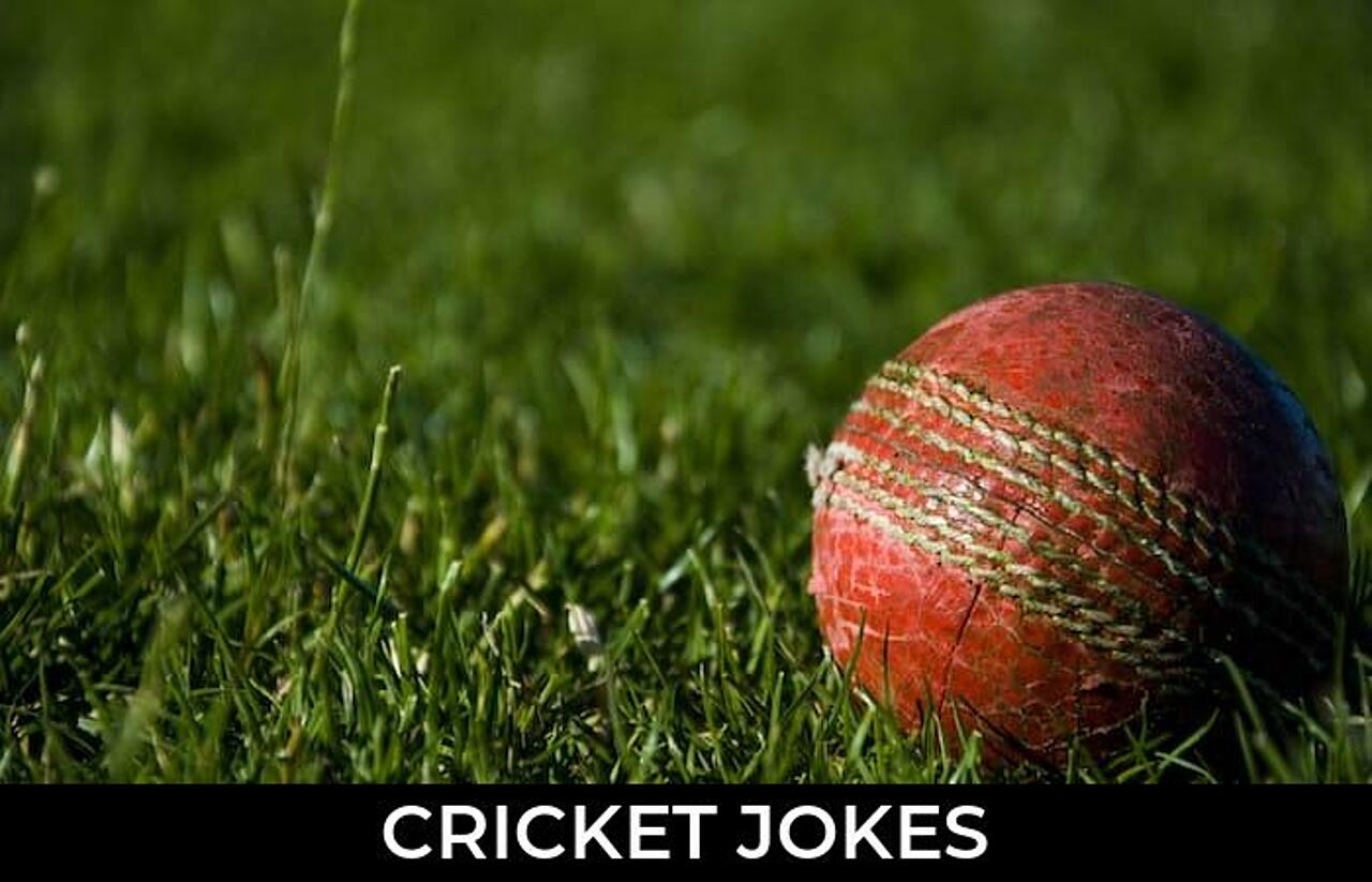 43+ Cricket Jokes And Funny Puns JokoJokes