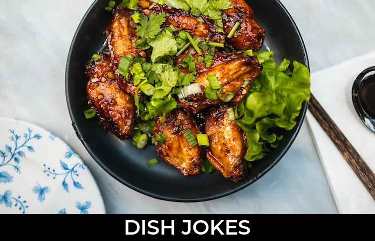 116+ Dish Jokes And Funny Puns JokoJokes