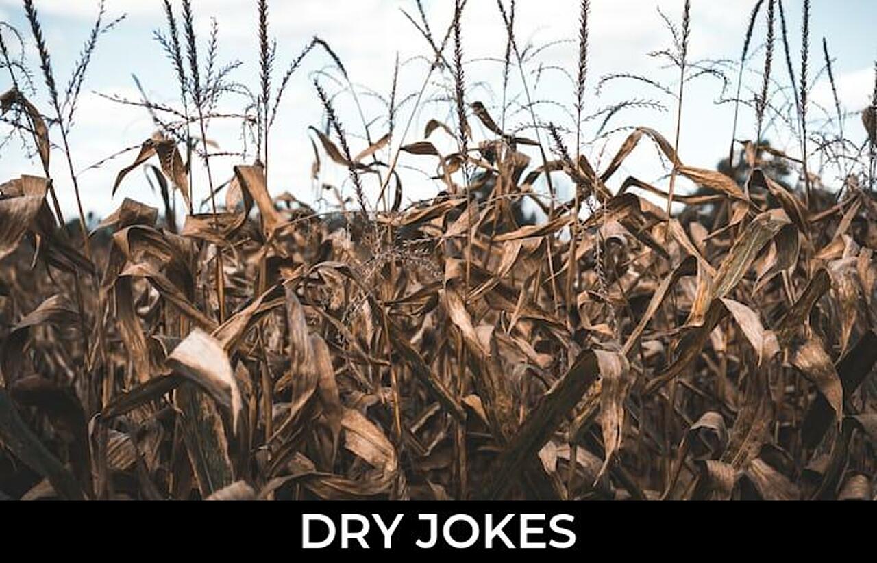 65+ Dry Jokes To Make Fun JokoJokes