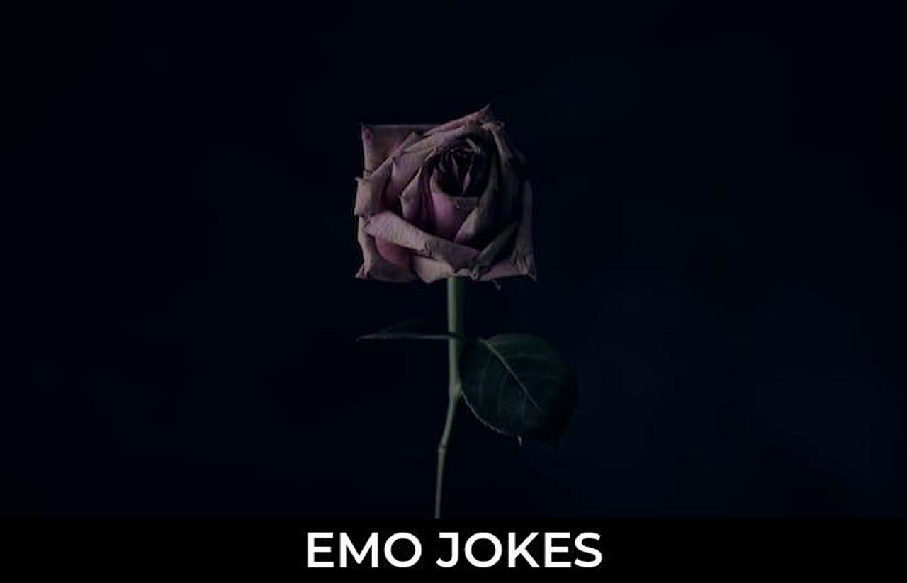 131+ Emo Jokes And Funny Puns JokoJokes