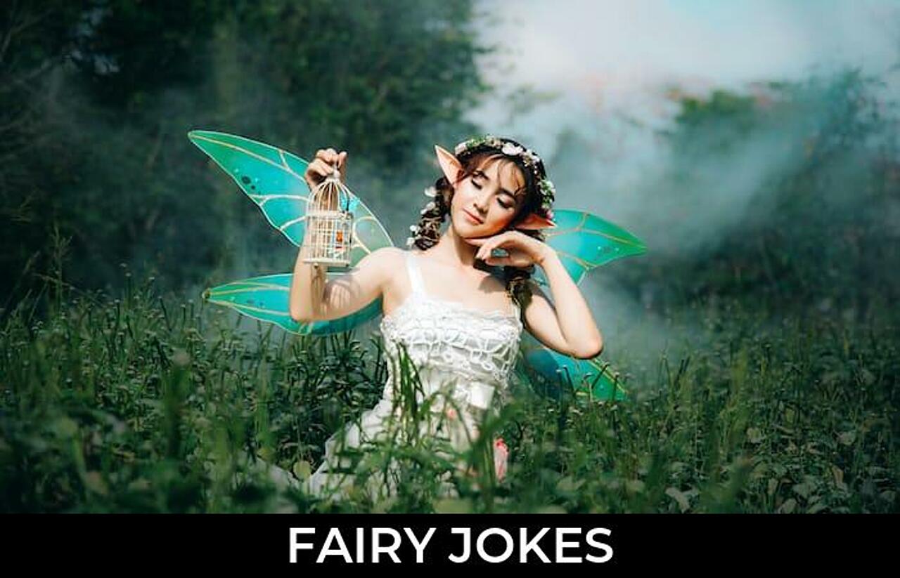 92+ Fairy Jokes And Funny Puns JokoJokes