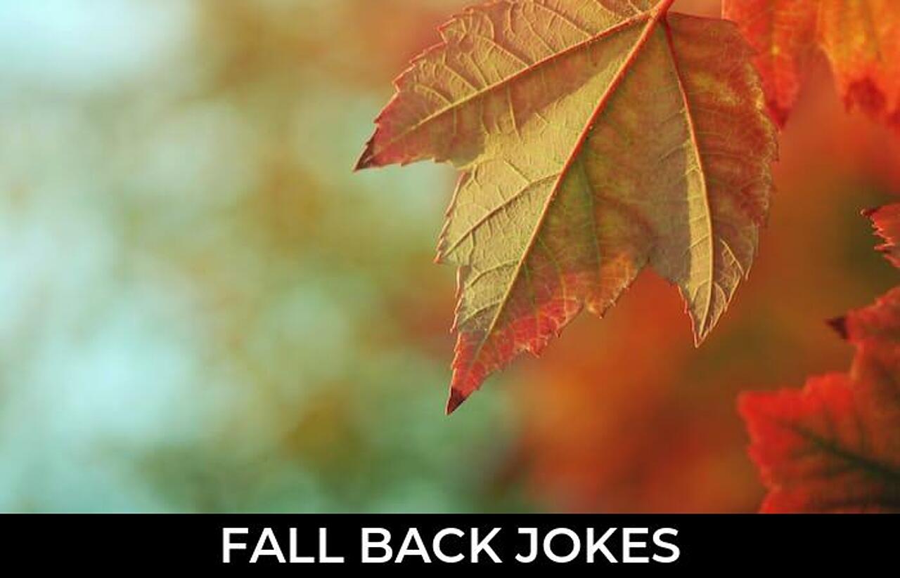 120+ Fall Back Jokes And Funny Puns JokoJokes