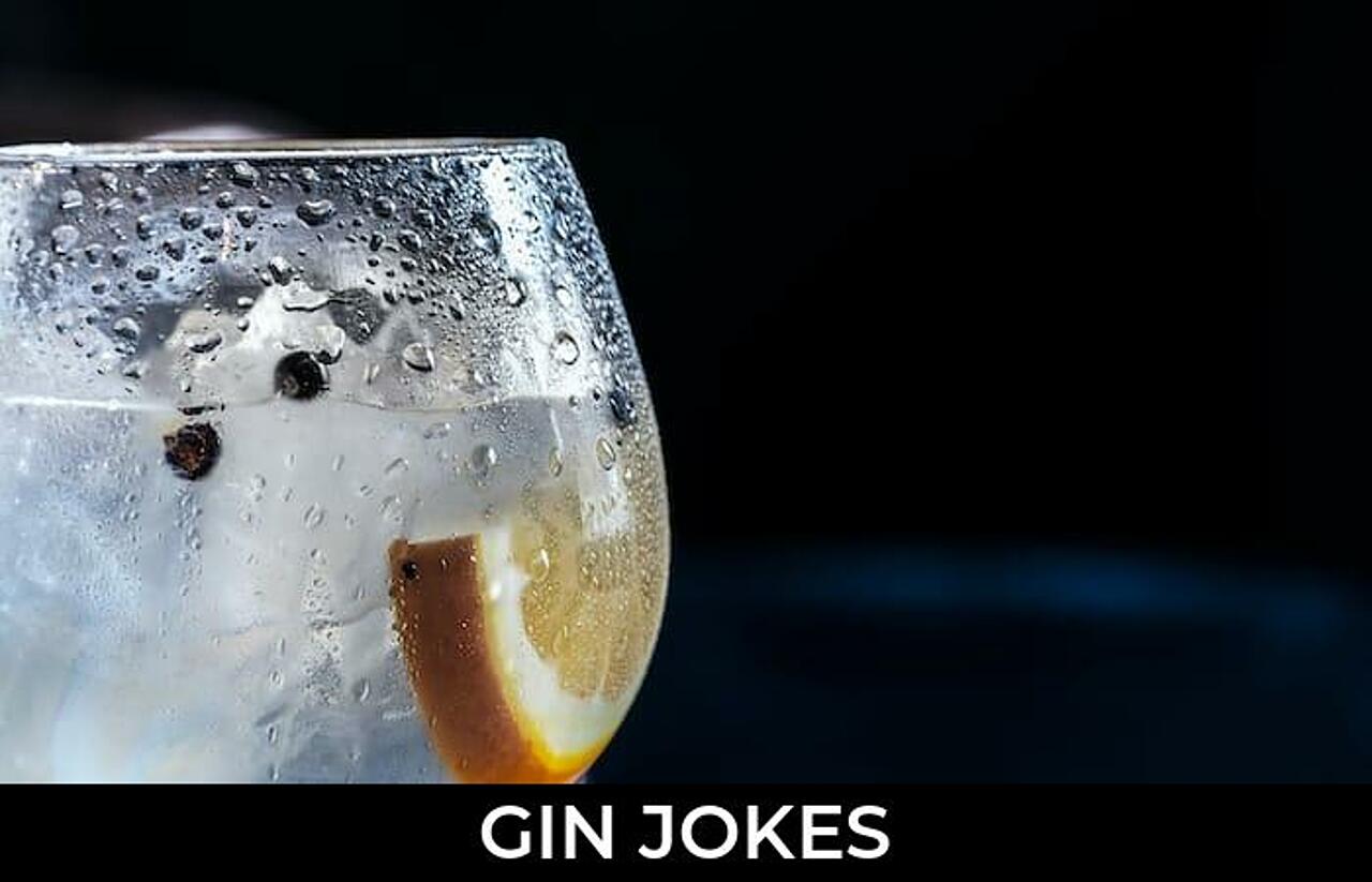 74+ Gin Jokes And Funny Puns JokoJokes