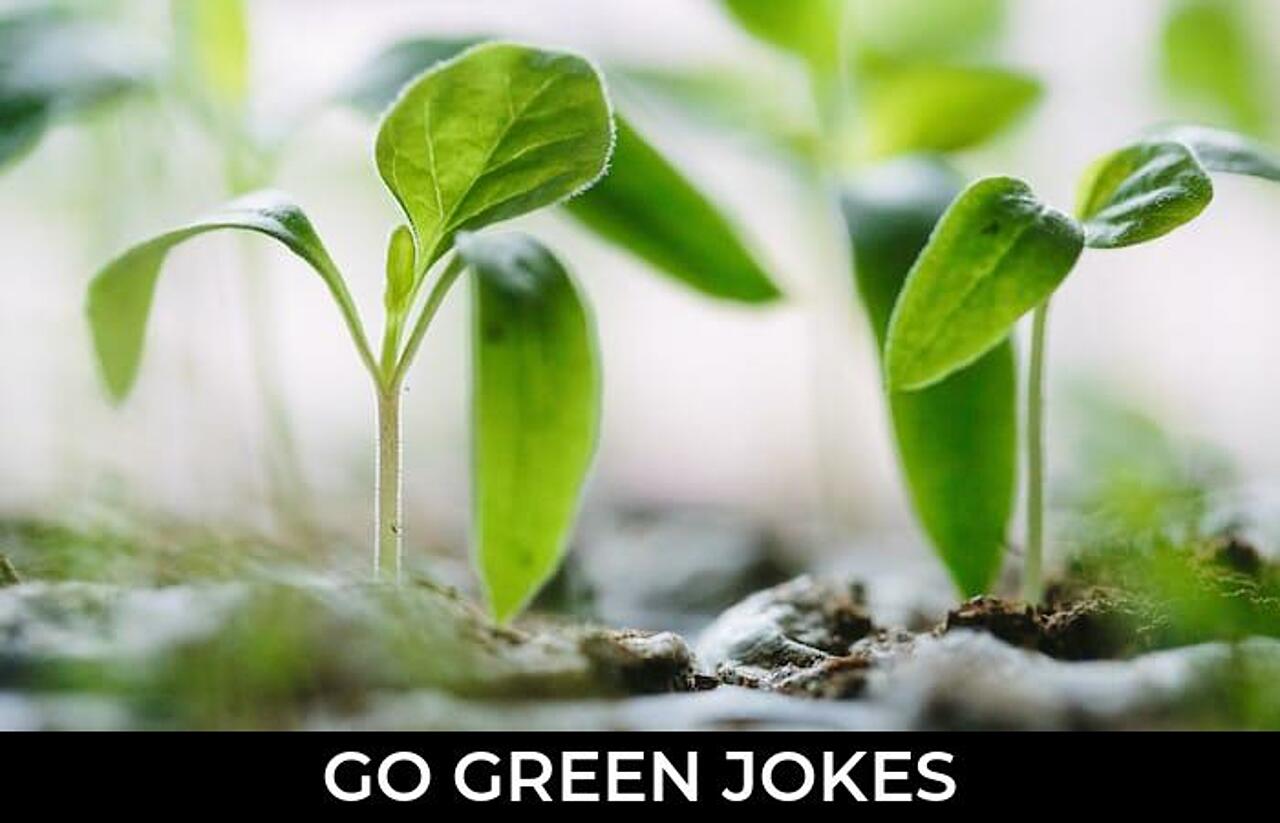 108+ Go Green Jokes And Funny Puns JokoJokes