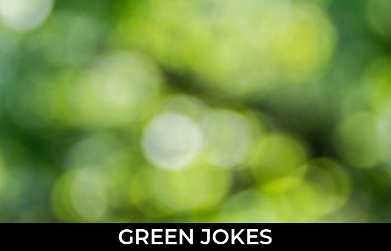 109+ Green Jokes And Funny Puns JokoJokes