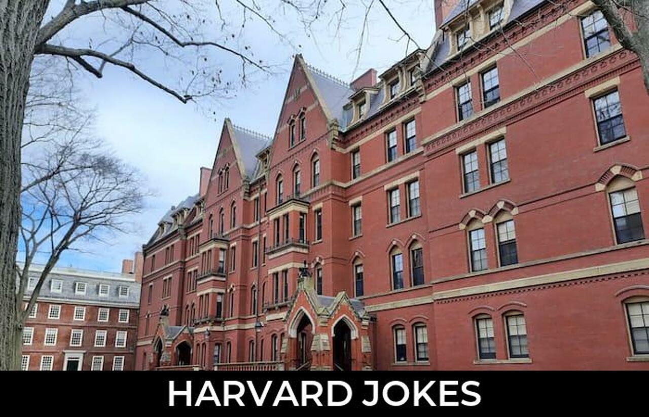 76+ Harvard Jokes And Funny Puns JokoJokes
