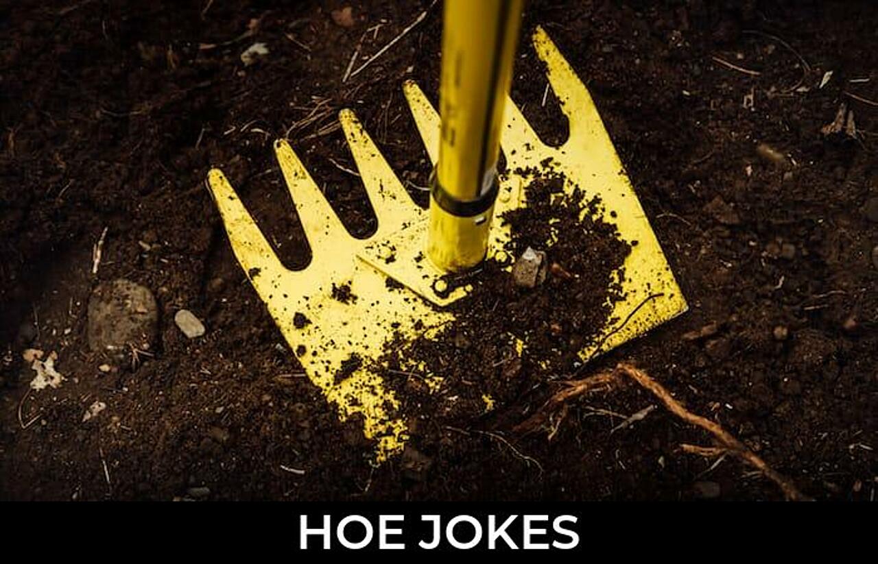 93+ Hoe Jokes And Funny Puns JokoJokes