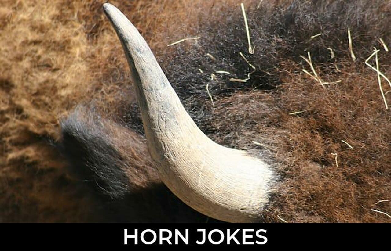 131+ Horn Jokes And Funny Puns JokoJokes