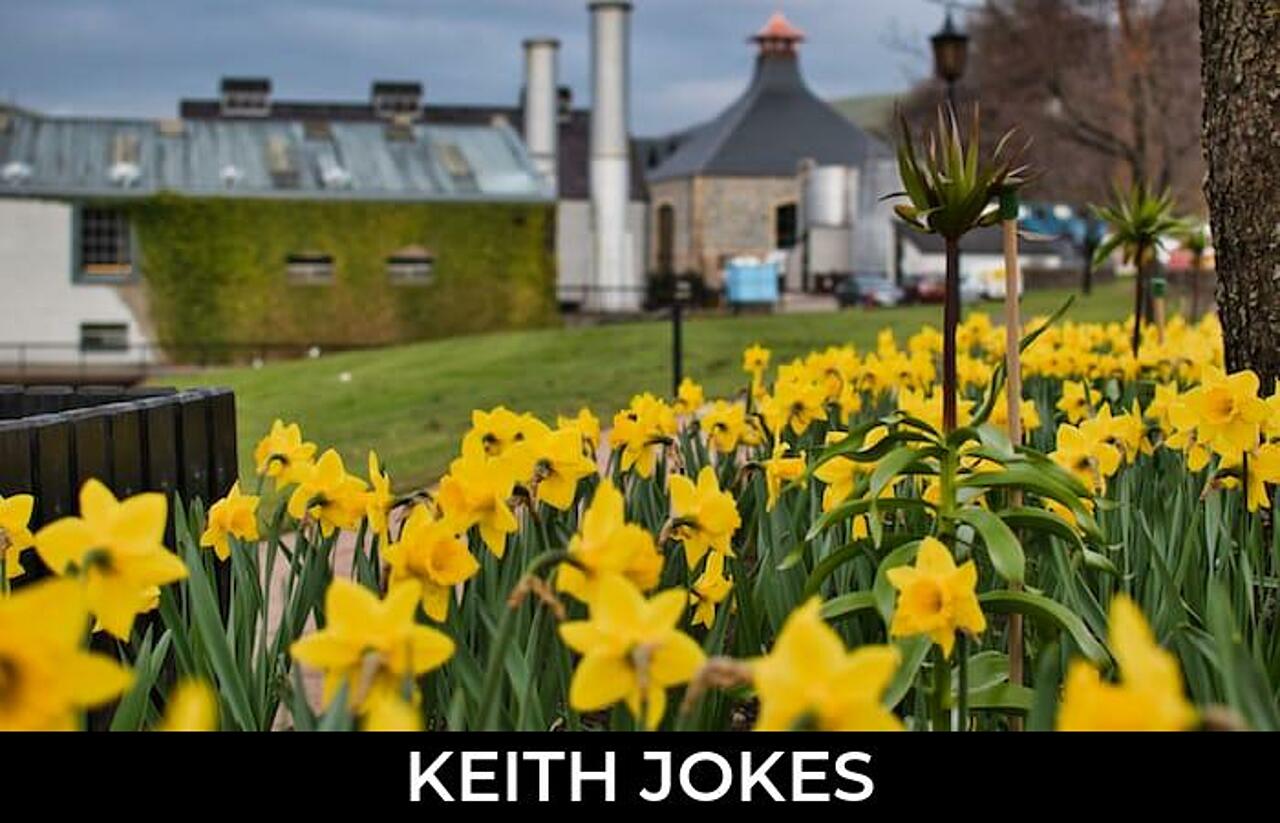 42+ Keith Jokes To Make Fun JokoJokes