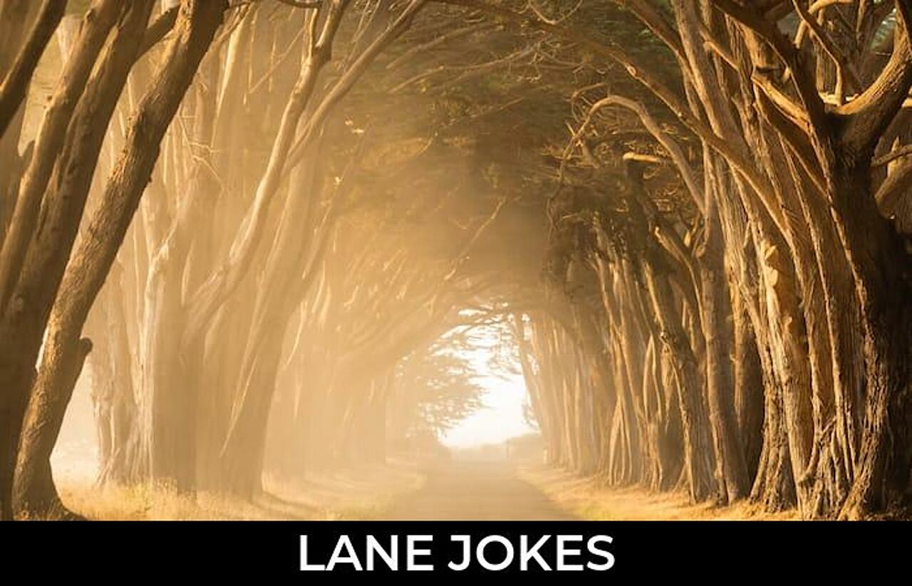 97+ Lane Jokes And Funny Puns JokoJokes