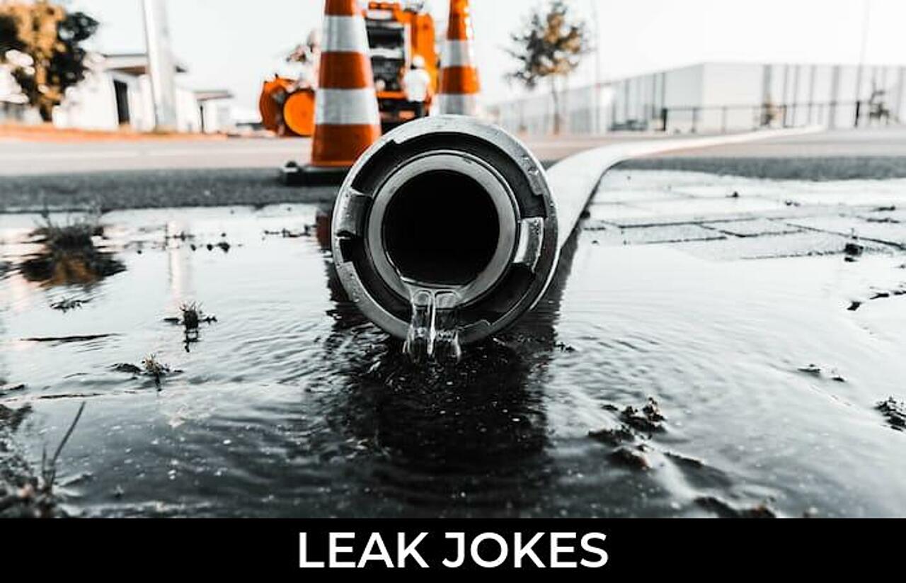 86+ Leak Jokes And Funny Puns JokoJokes