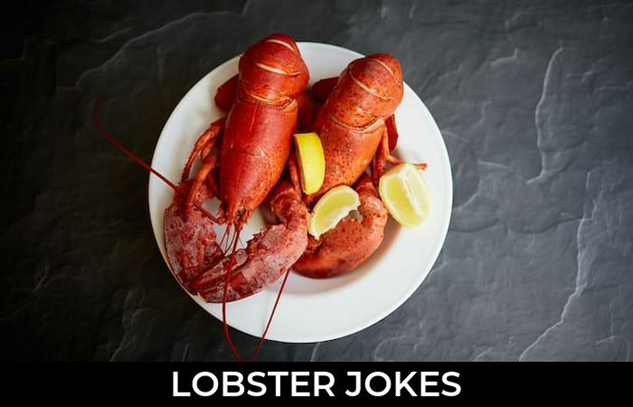 139+ Lobster Jokes And Funny Puns JokoJokes