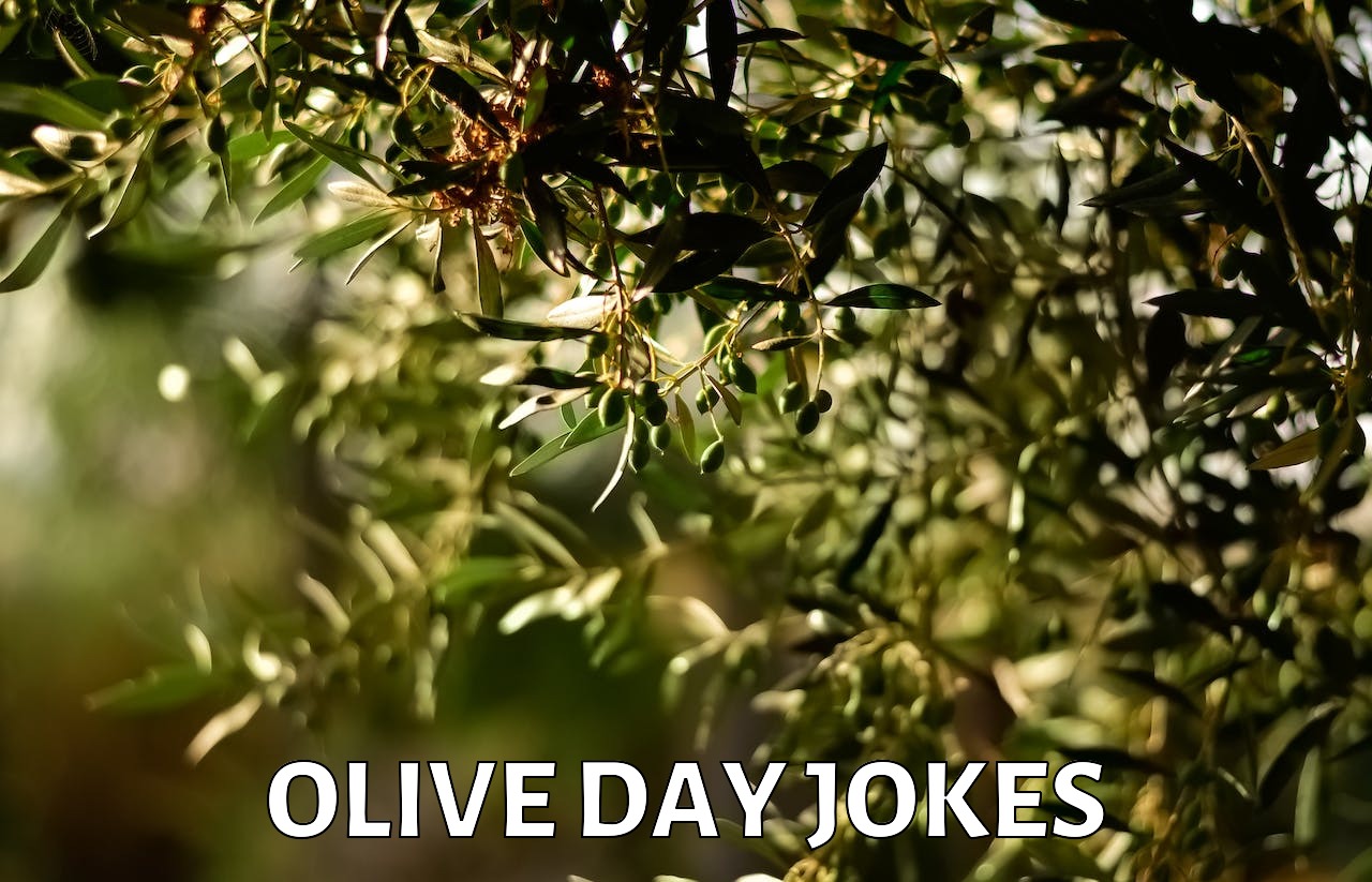 2+ Olive Day Jokes And Funny Puns JokoJokes