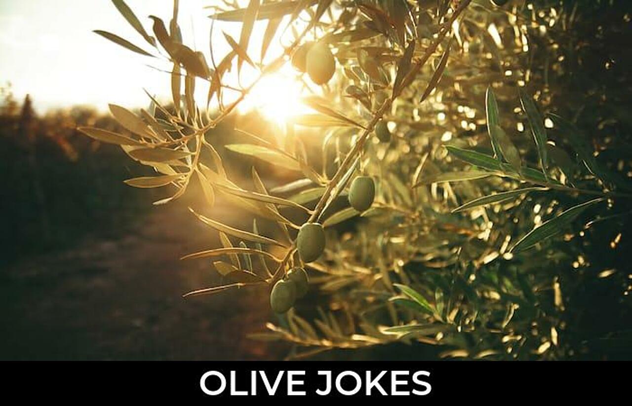 159+ Olive Jokes And Funny Puns JokoJokes