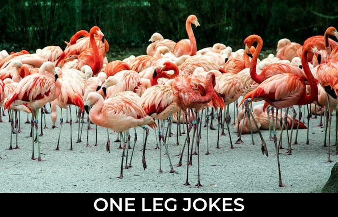103+ One Leg Jokes And Funny Puns JokoJokes
