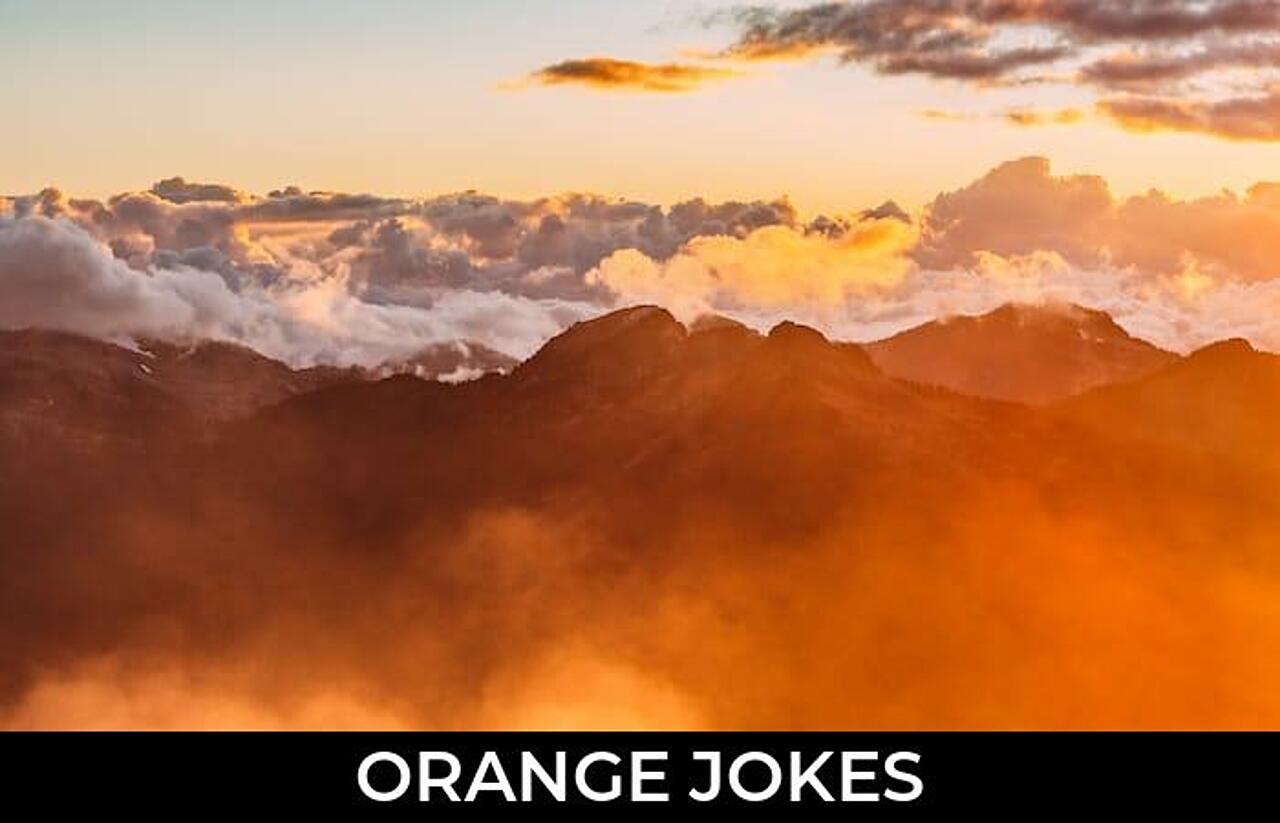 184+ Orange Jokes And Funny Puns JokoJokes