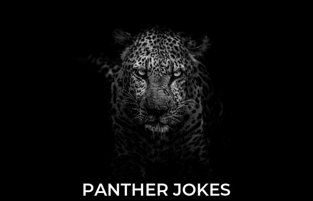 56+ Panther Jokes And Funny Puns JokoJokes