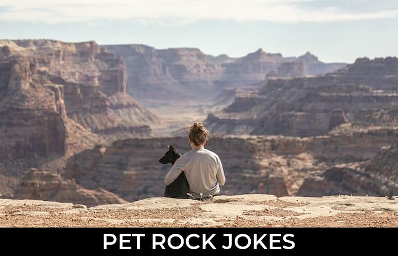 49+ Pet Rock Jokes And Funny Puns JokoJokes