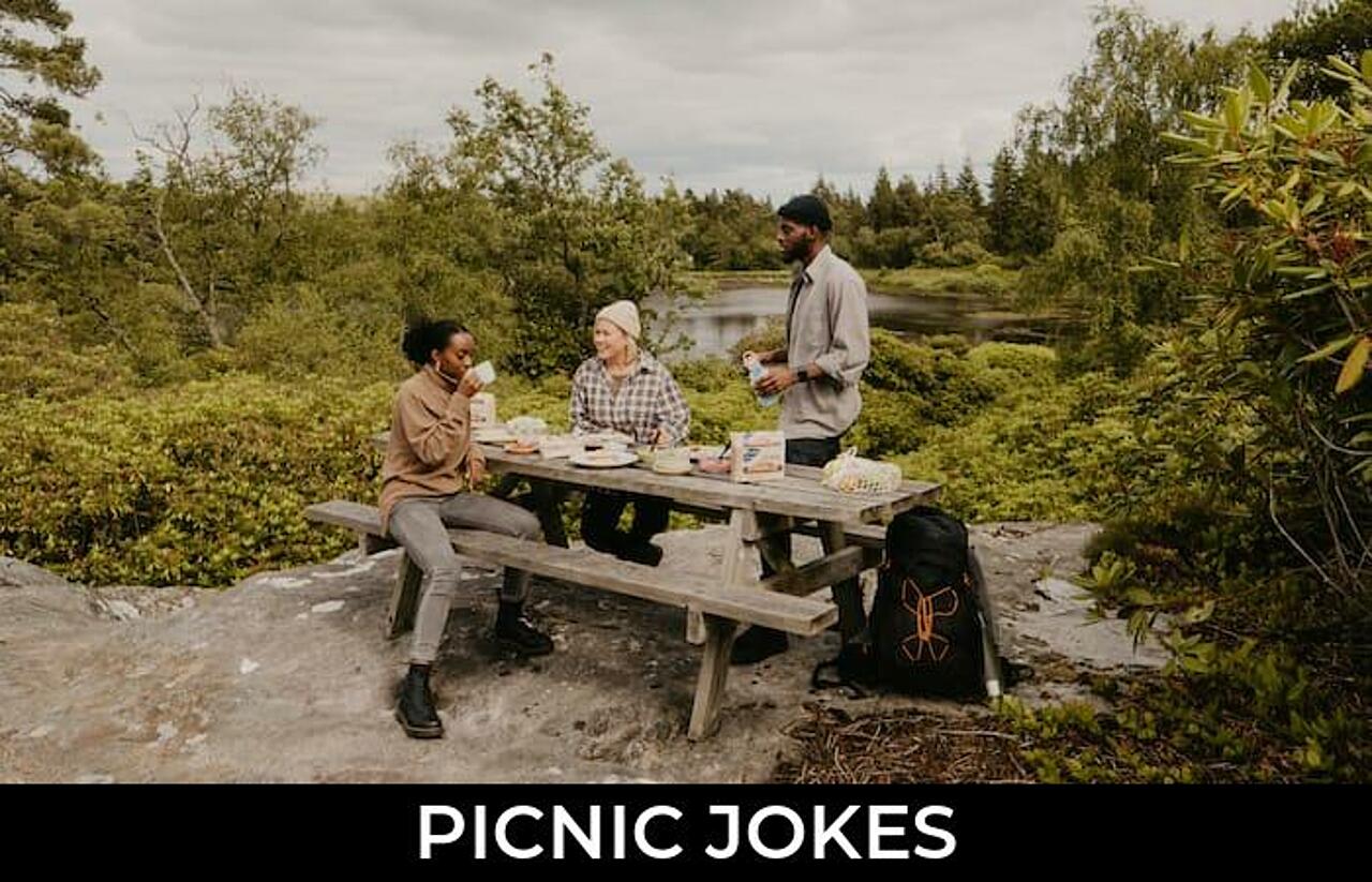 Funny Picnic Puns at Mathew Long blog