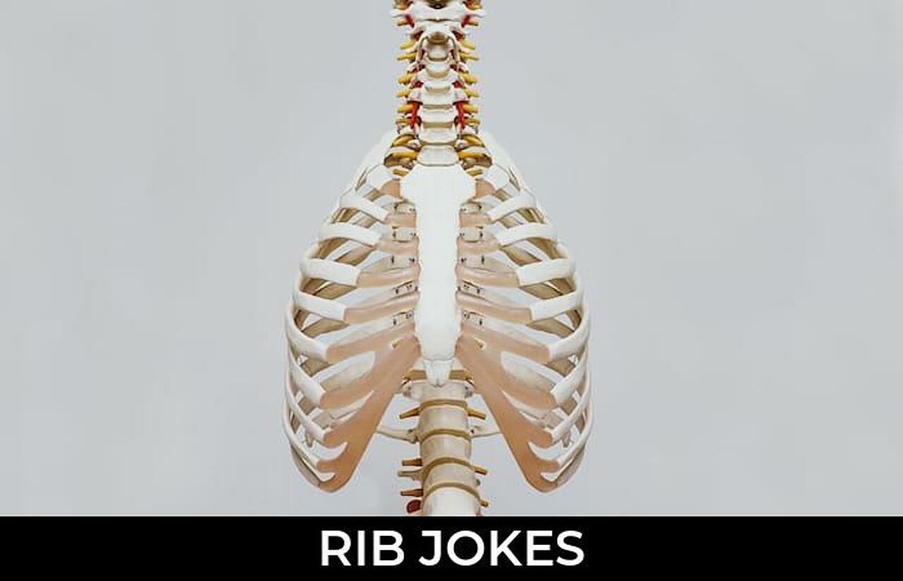 91+ Rib Jokes And Funny Puns JokoJokes