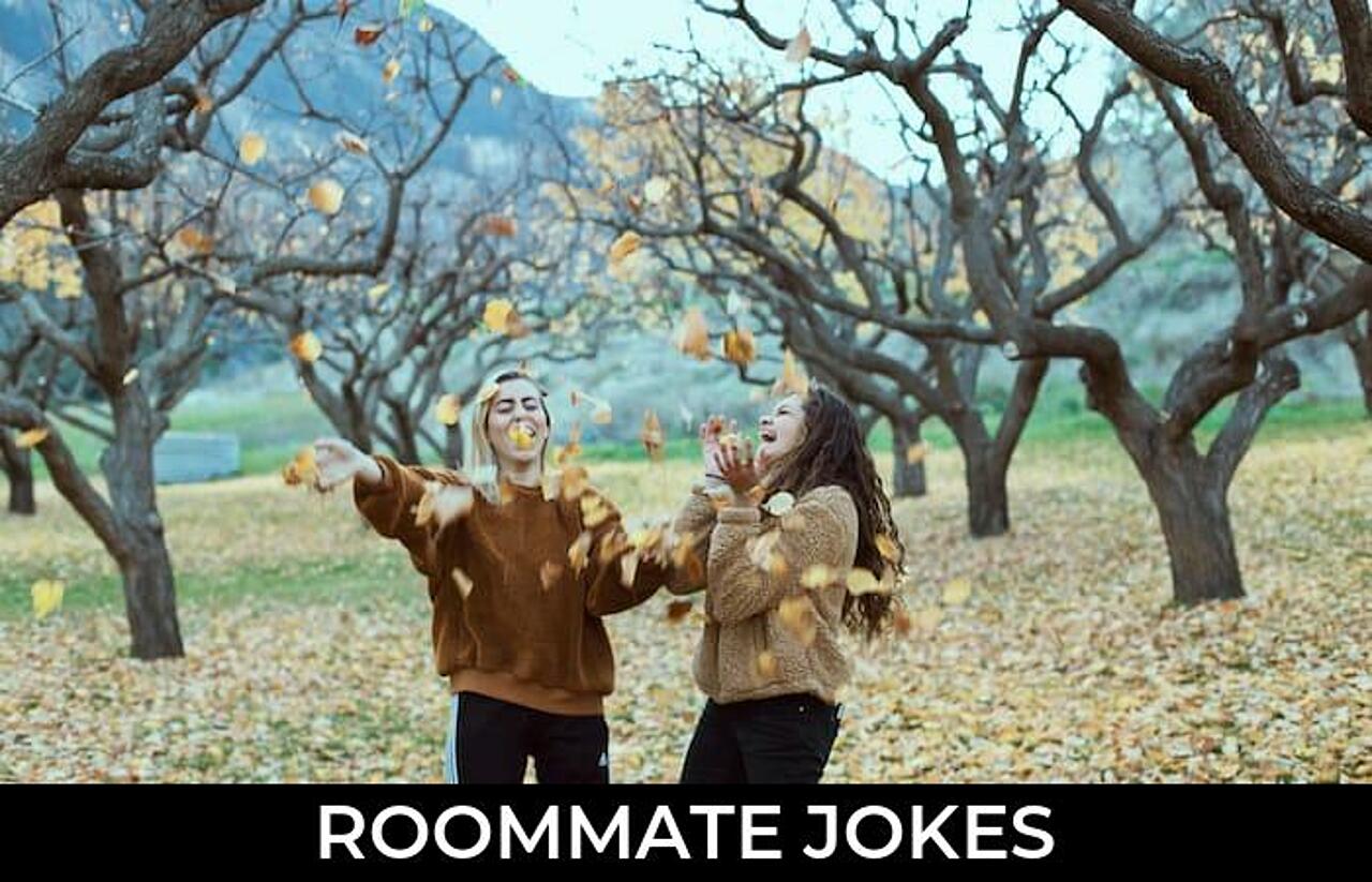 133+ Roommate Jokes And Funny Puns JokoJokes