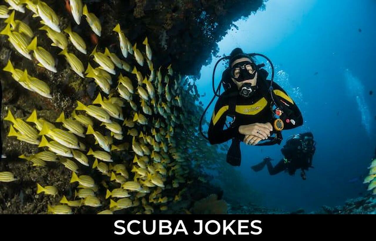 86+ Scuba Jokes And Funny Puns JokoJokes