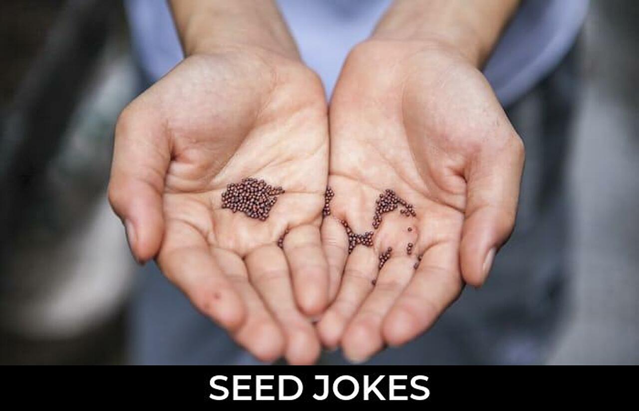 93+ Seed Jokes And Funny Puns JokoJokes