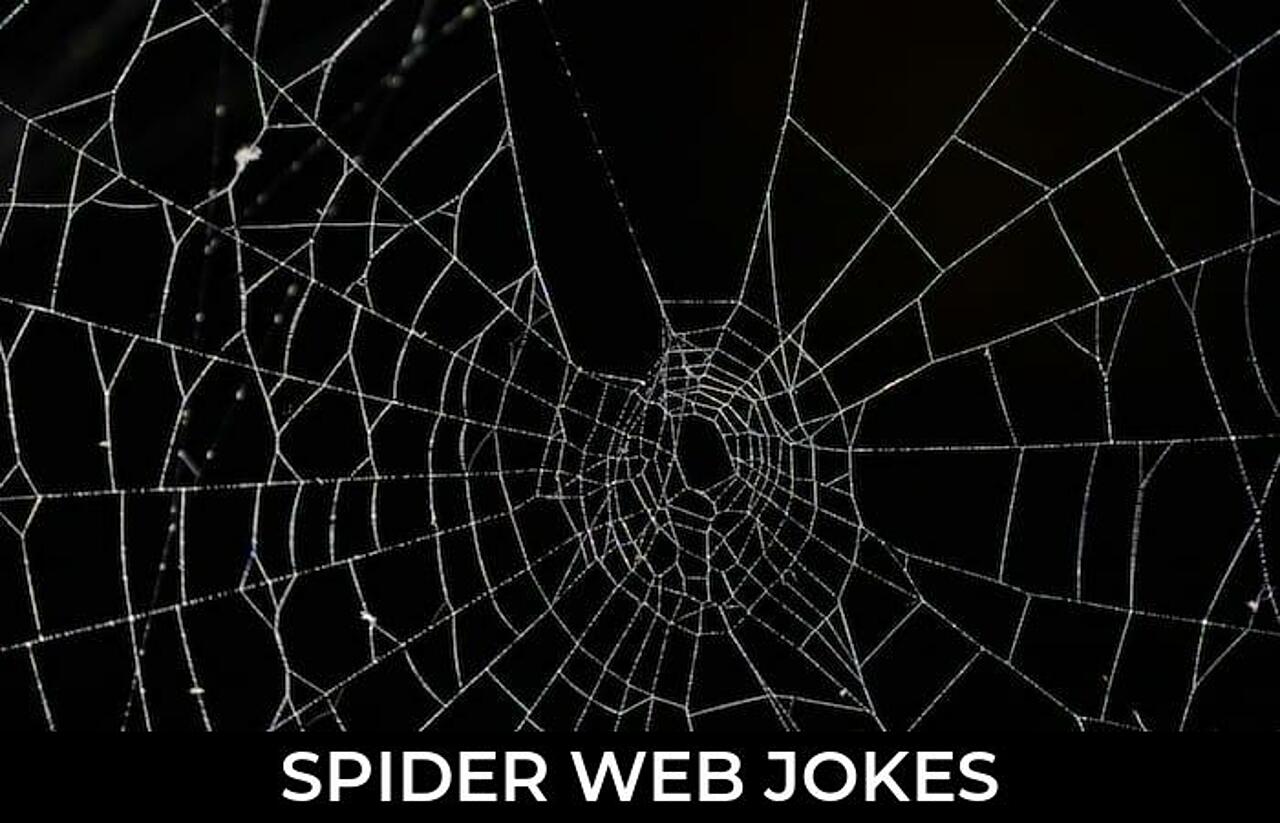 99+ Spider Web Jokes And Funny Puns JokoJokes