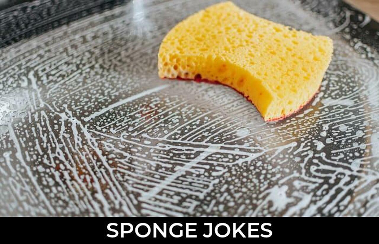 69+ Sponge Jokes And Funny Puns JokoJokes