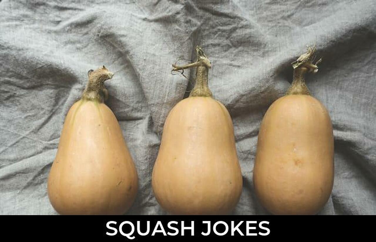 59+ Squash Jokes And Funny Puns JokoJokes