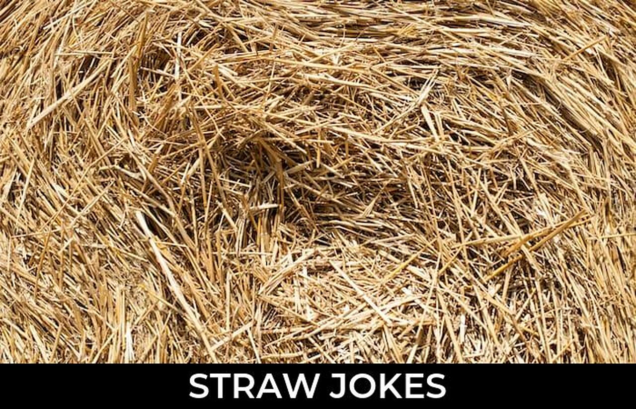 100+ Straw Jokes And Funny Puns JokoJokes