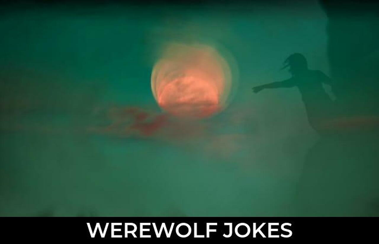 53+ Werewolf Jokes And Funny Puns JokoJokes