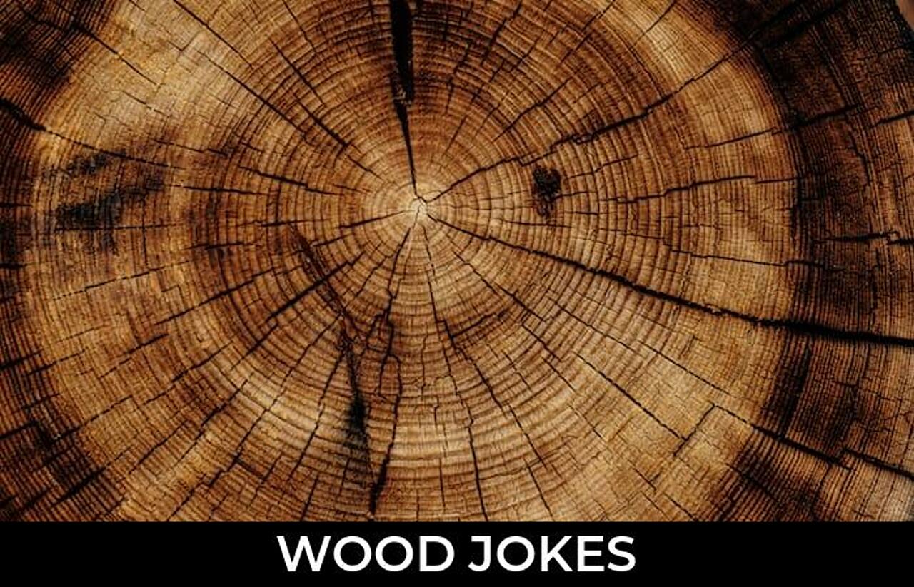 69+ Wood Jokes To Make Fun JokoJokes
