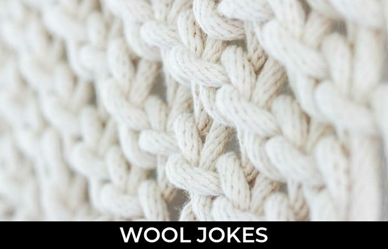 87+ Wool Jokes And Funny Puns JokoJokes
