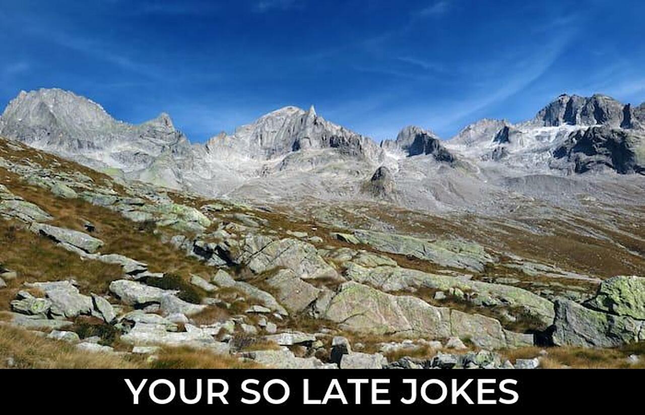 35+ Your So Late Jokes That Will Make You Laugh Out Loud