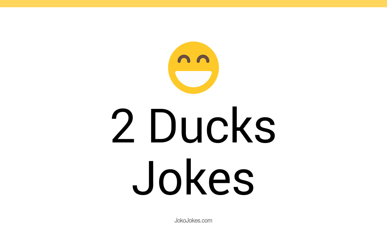 40+ 2 Ducks Jokes And Funny Puns JokoJokes