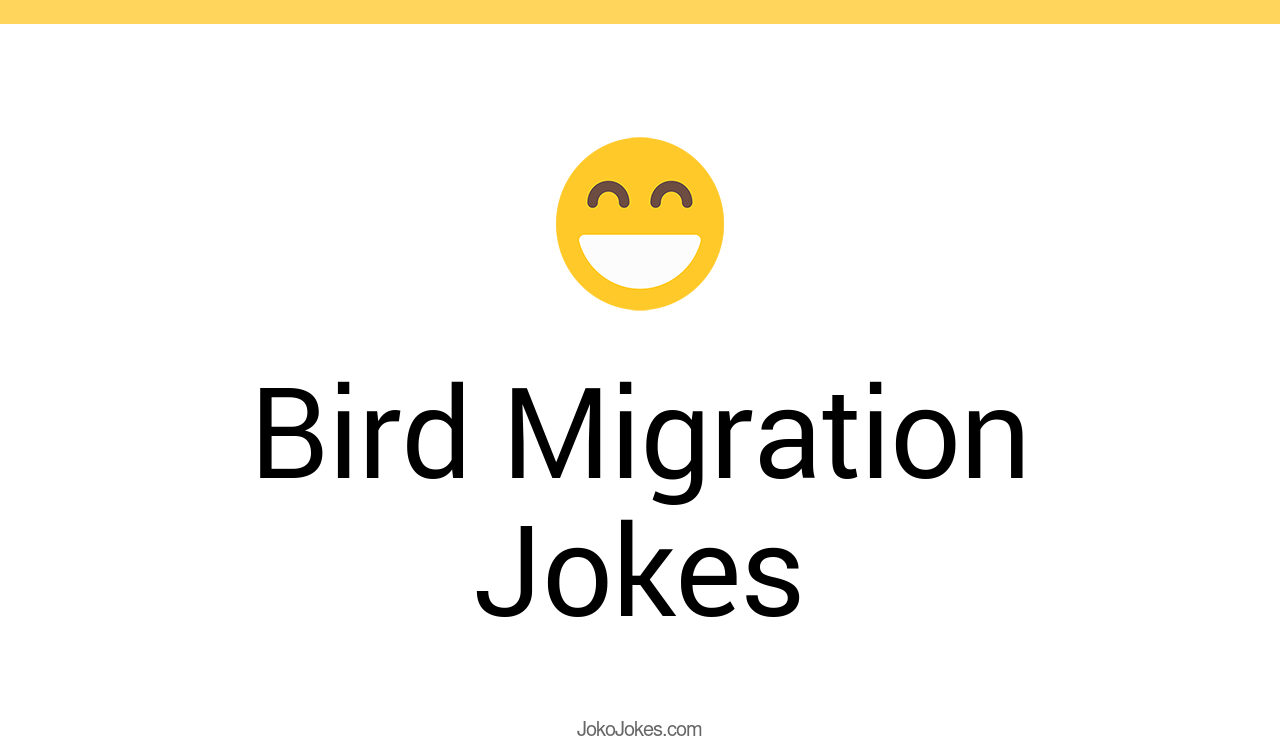 4+ Bird Migration Jokes And Funny Puns JokoJokes