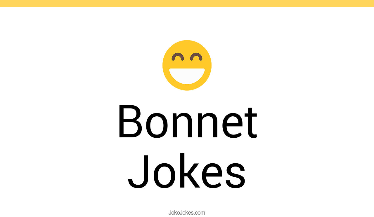 11+ Jokes And Funny Puns JokoJokes