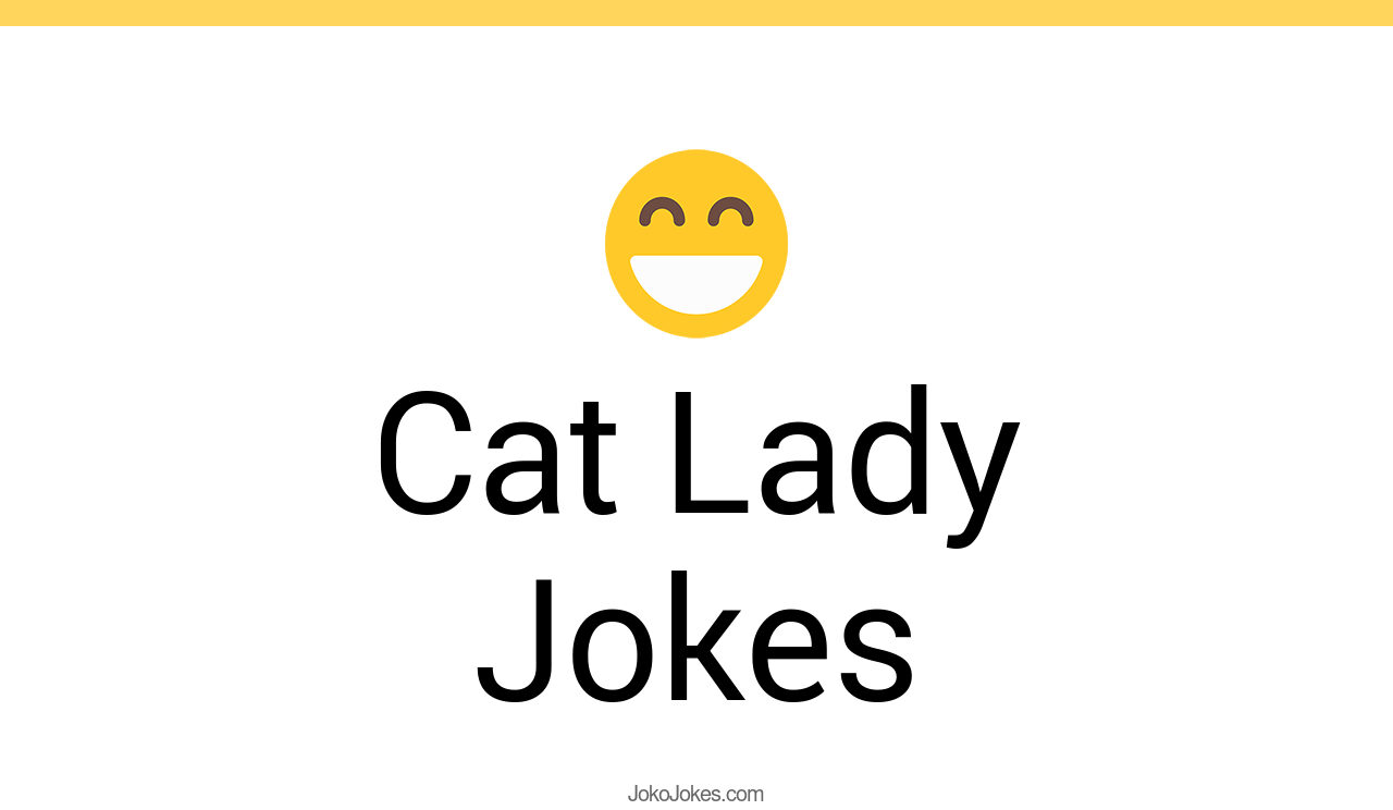 46+ Cat Lady Jokes And Funny Puns JokoJokes