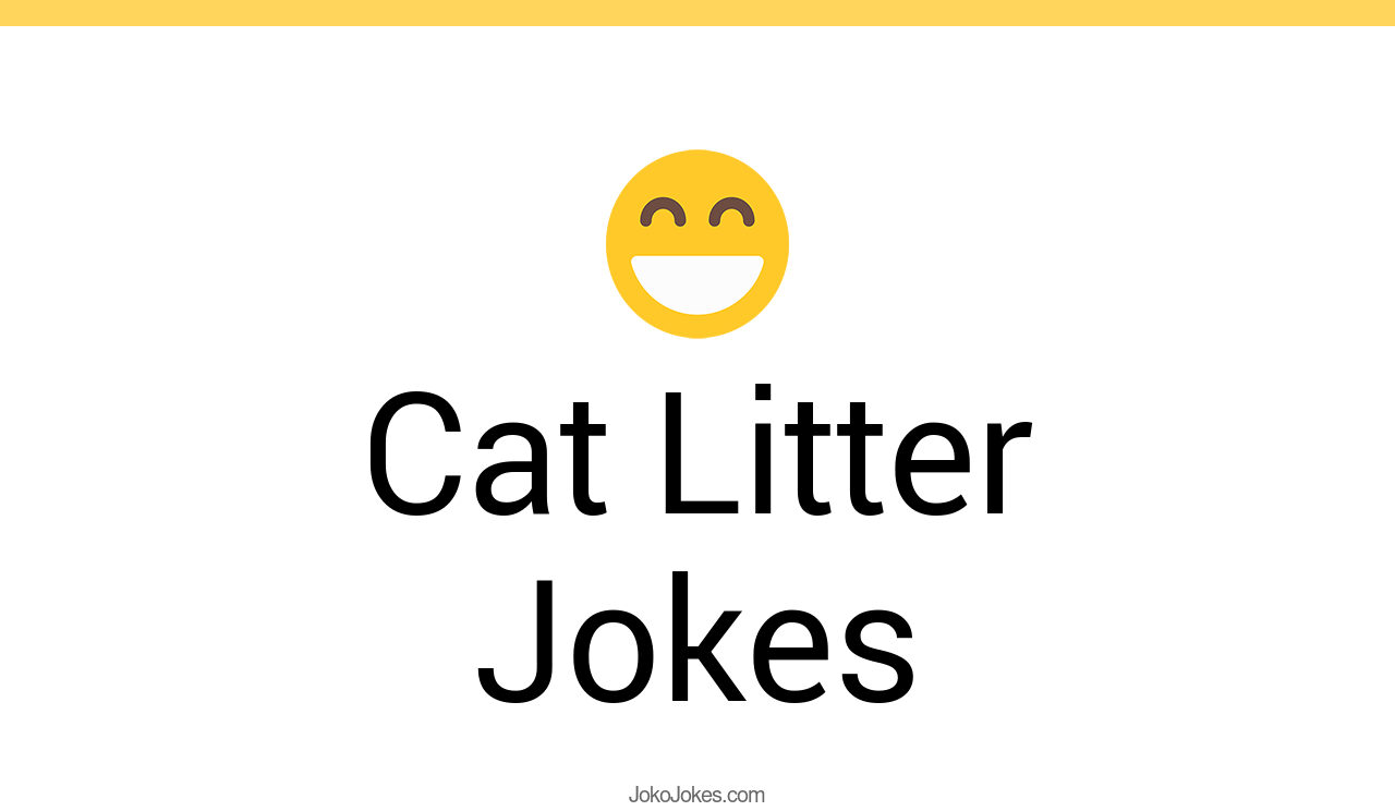 35+ Cat Litter Jokes And Funny Puns JokoJokes