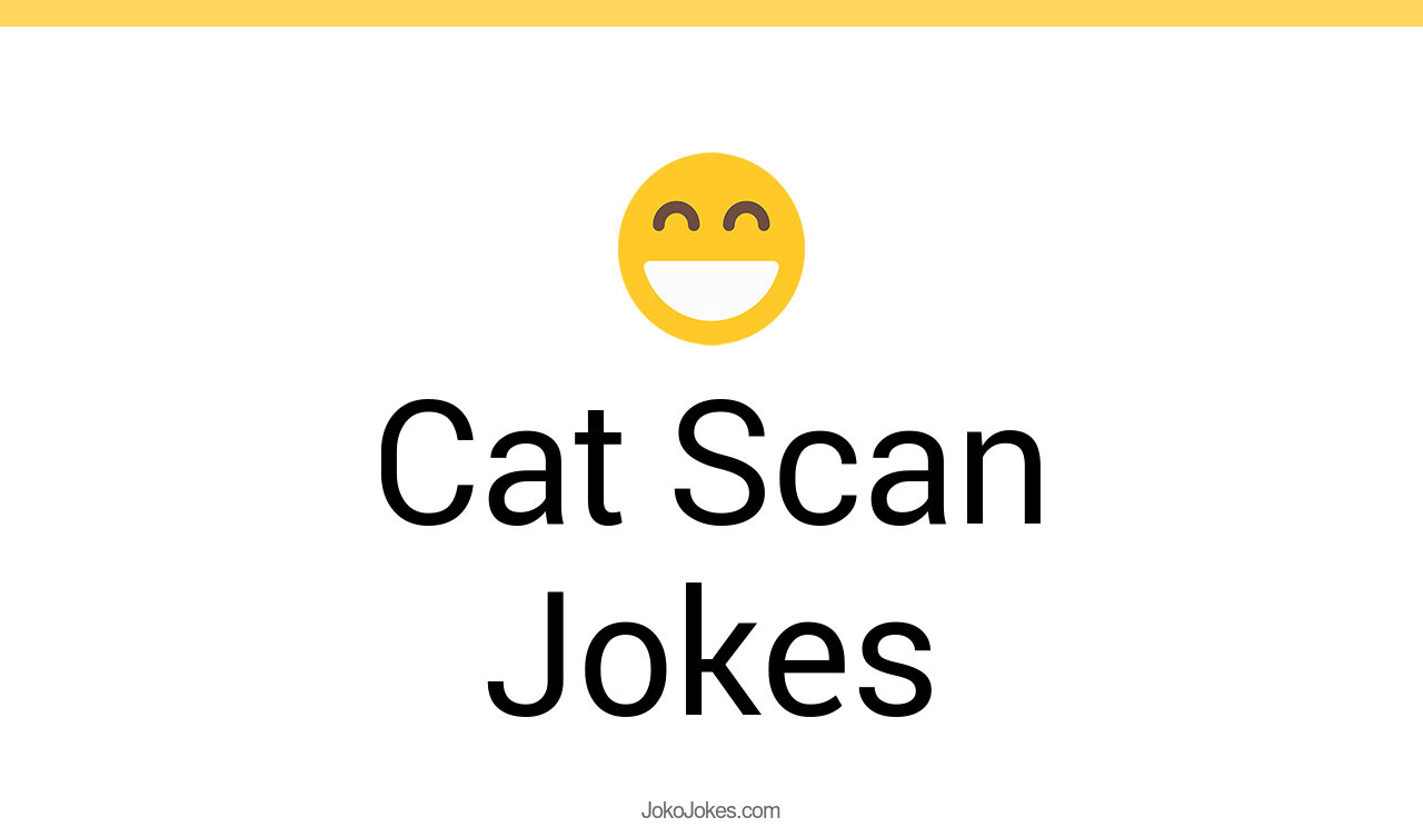 39+ Cat Scan Jokes And Funny Puns JokoJokes