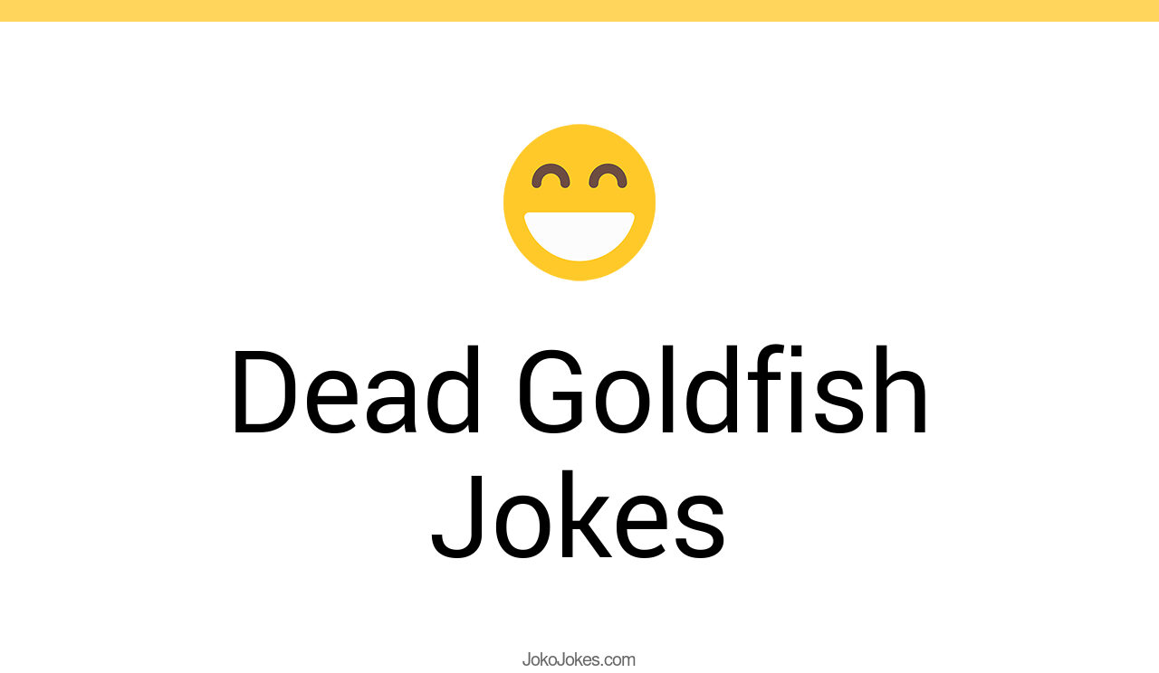 3+ Dead Goldfish Jokes And Funny Puns JokoJokes