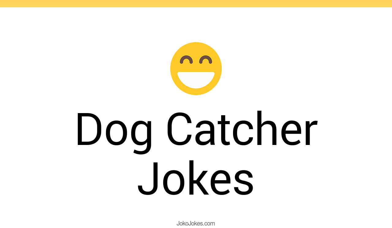 5+ Dog Catcher Jokes And Funny Puns JokoJokes