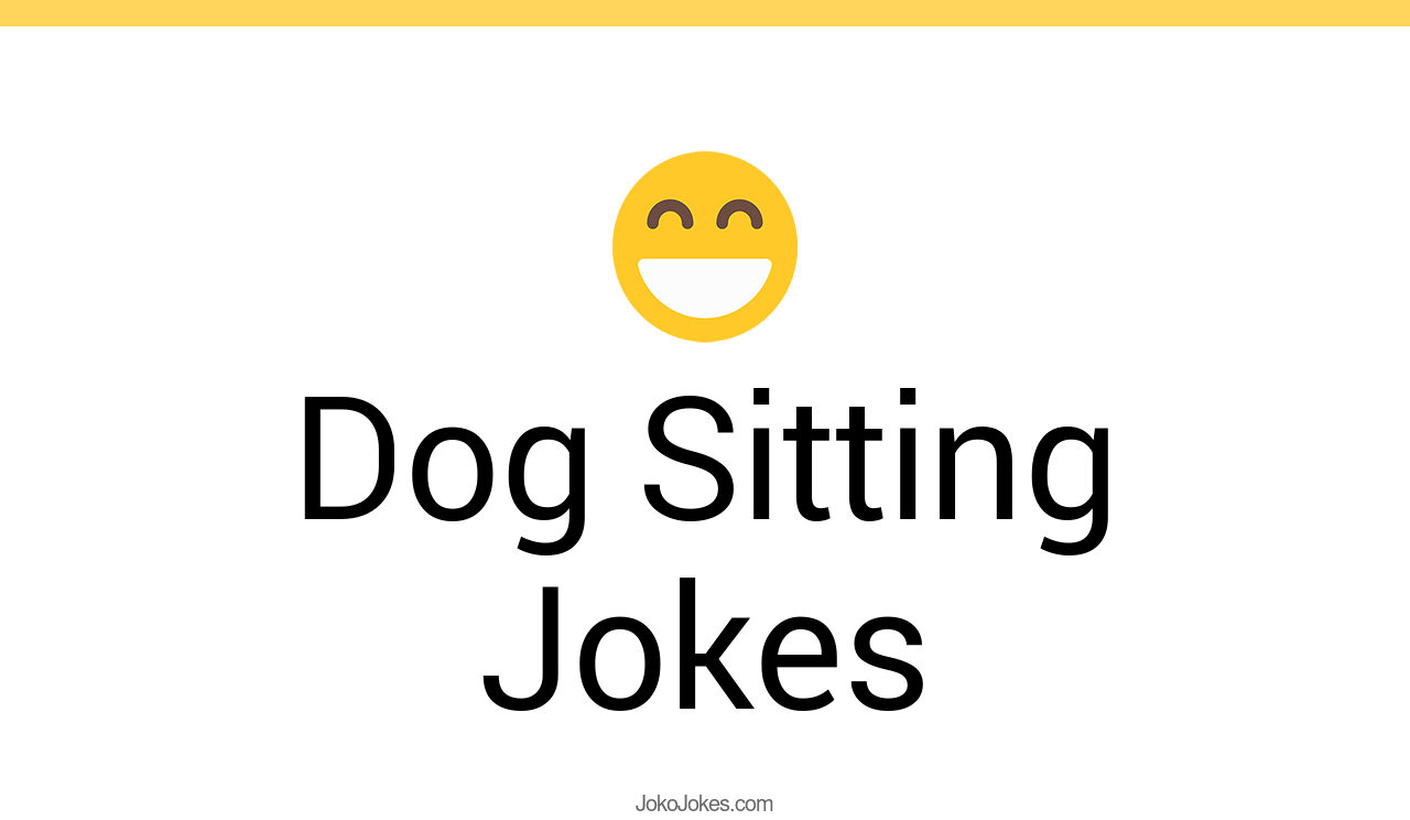 119+ Dog Sitting Jokes And Funny Puns JokoJokes