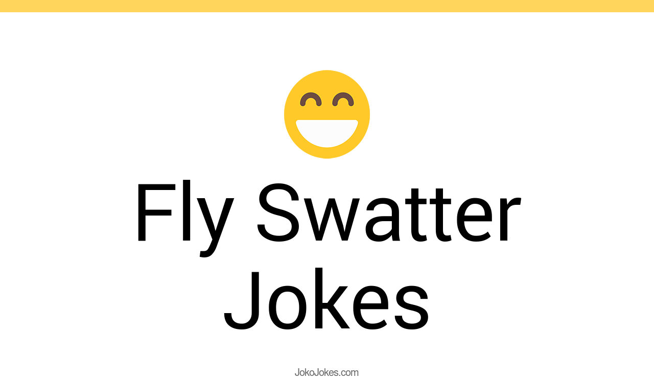 15+ Fly Swatter Jokes And Funny Puns JokoJokes