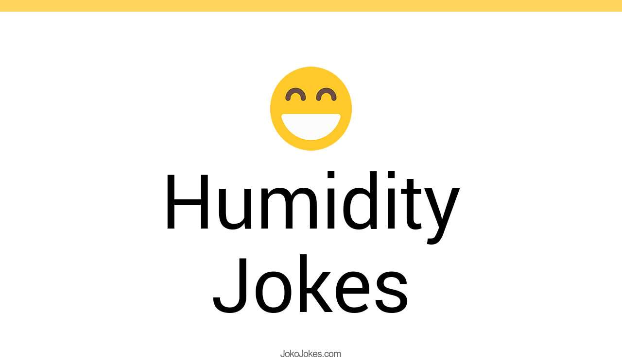 19+ Humidity Jokes And Funny Puns JokoJokes