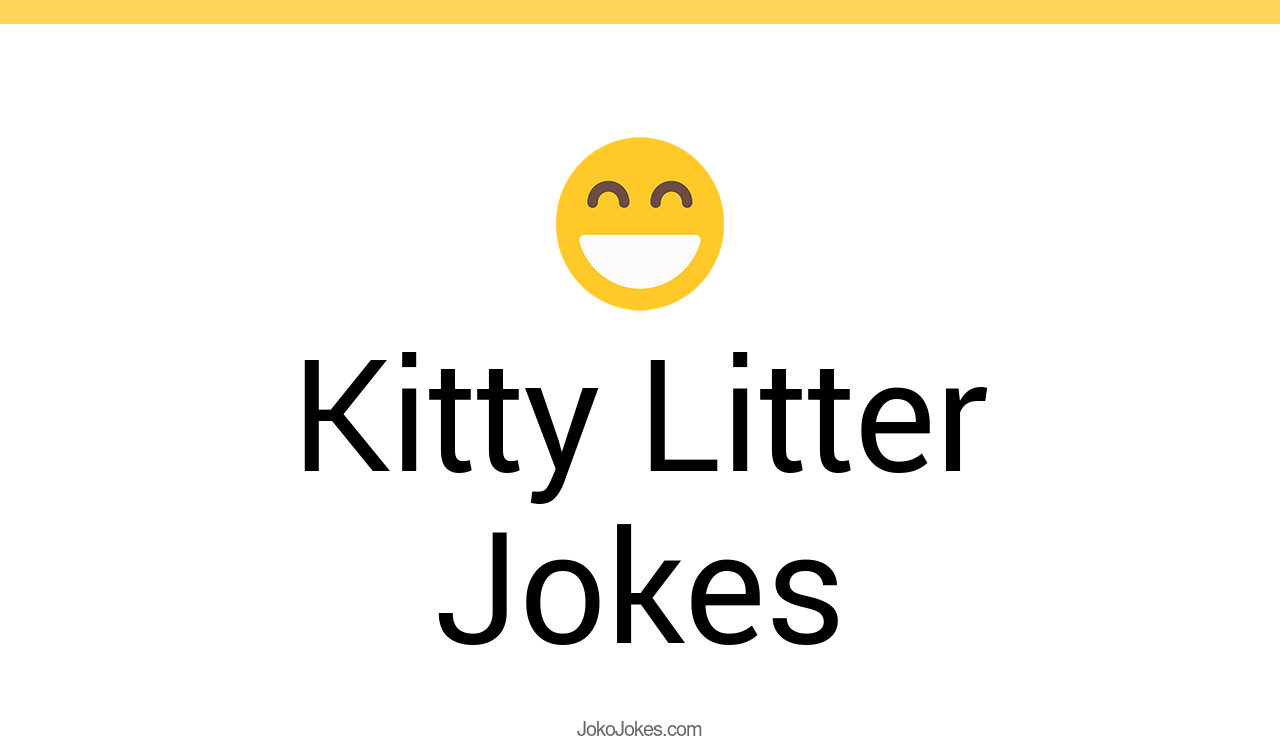 7+ Kitty Litter Jokes And Funny Puns JokoJokes