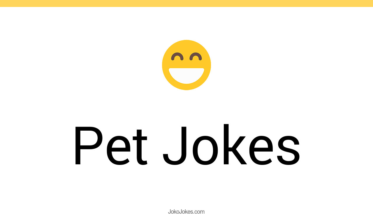 138+ Pet Jokes And Funny Puns JokoJokes