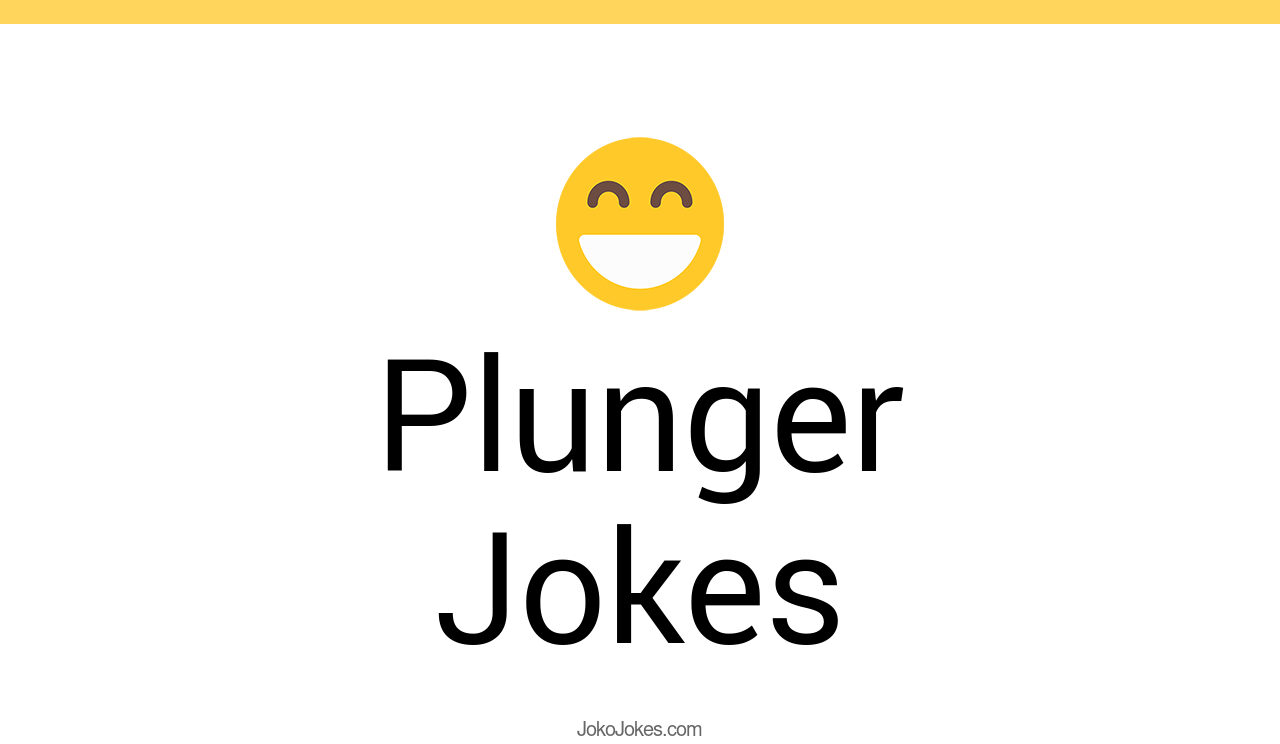 40+ Plunger Jokes And Funny Puns JokoJokes