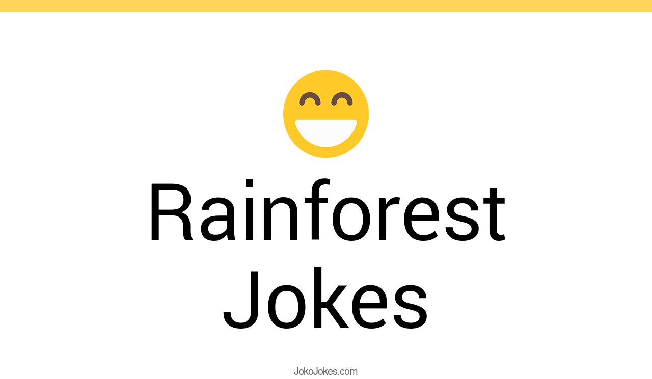 25+ Rainforest Jokes And Funny Puns JokoJokes